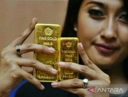 Harga emas Antam Kamis pagi turun Rp8.000 per gram