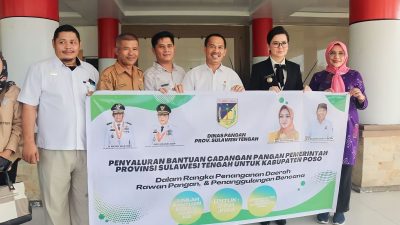 Dinas Pangan Sulteng salurkan 241.946 kilogram beras cegah inflasi