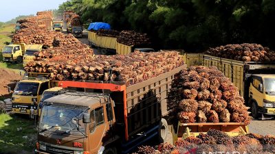 Harga referensi CPO 1-15 Oktober 2023 meningkat 3,57 persen