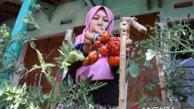 Program “Harum Madu” untuk dukung stabilitas kegiatan ekonomi keluarga pada Garut