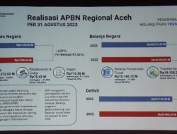 Rekomendasi perwakilan Kemenkeu Aceh untuk kemandirian fiskal