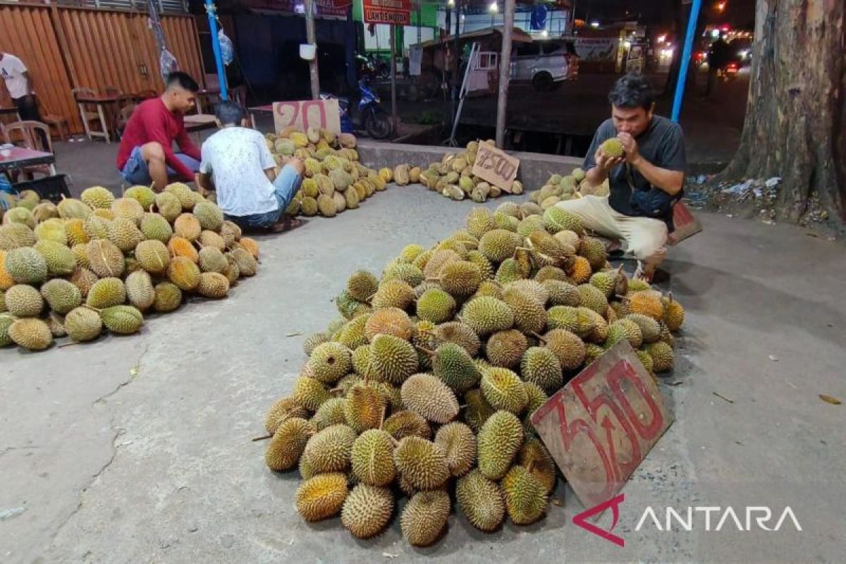Provinsi Kalbar memasuki puncak musim buah durian dari penjuru daerah