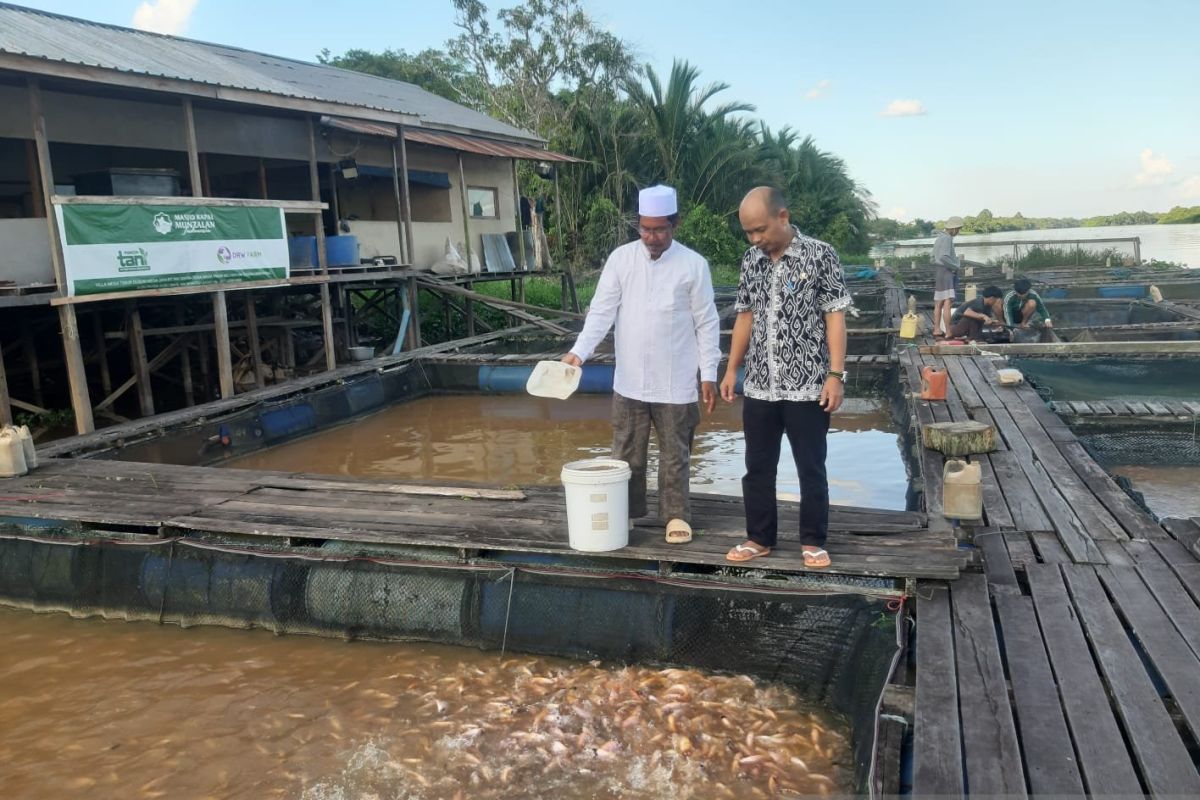 DKP Kalbar memaksimalkan produksi ikan budi daya dengan pakan mandiri